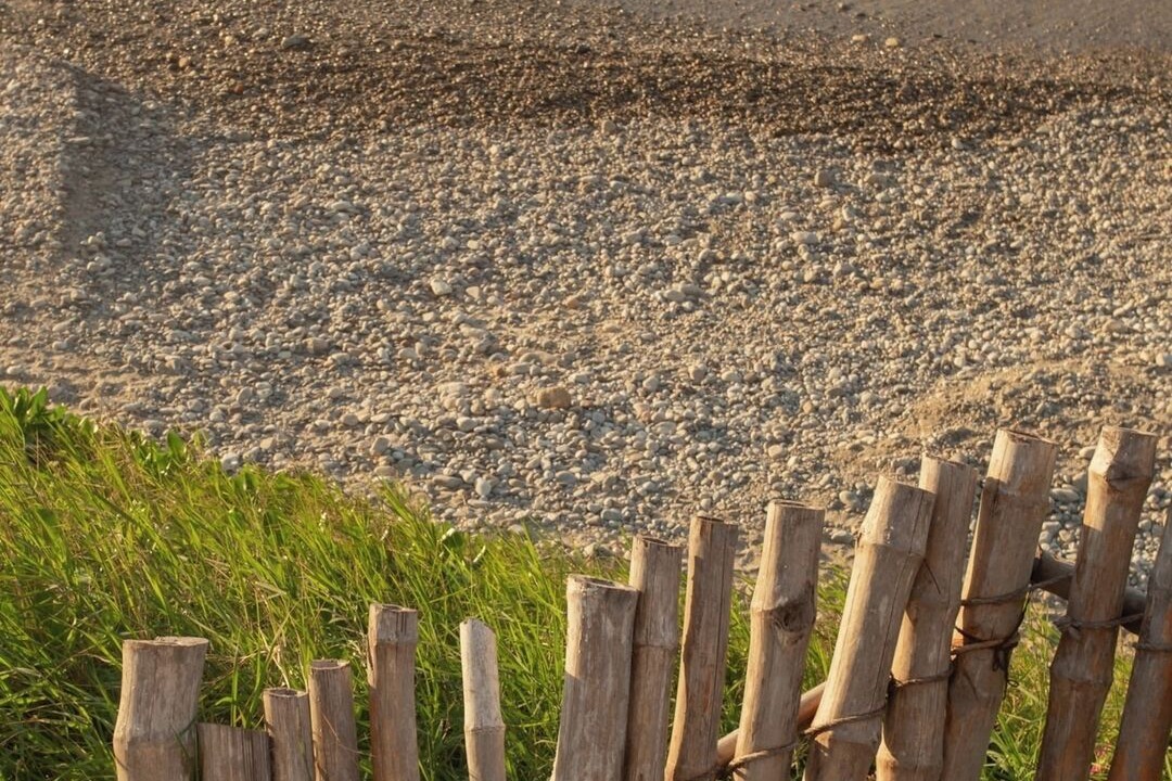 Photo of Others in Punta Negra