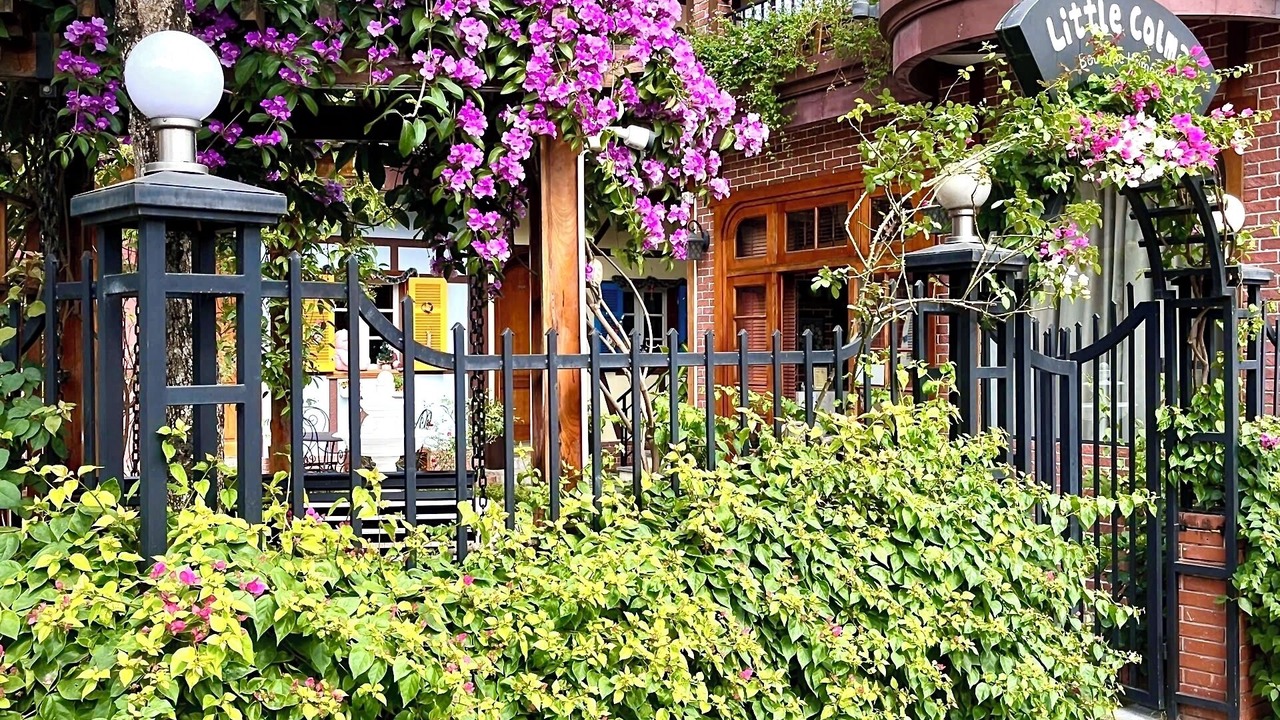 Photo of Outdoor in Bai Chay