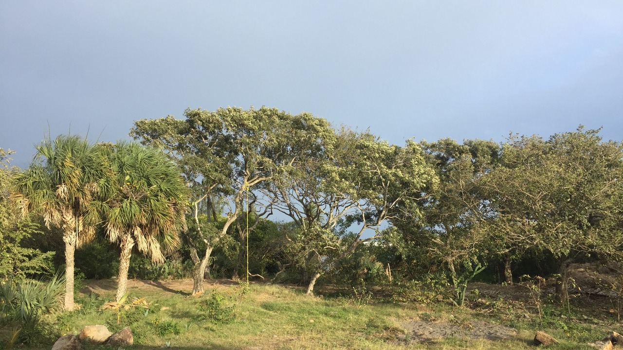 Photo of Others in Alto Lucero