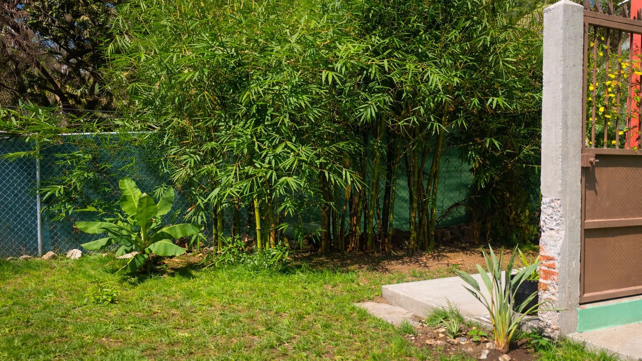 Photo of Outdoor in Higuera Blanca