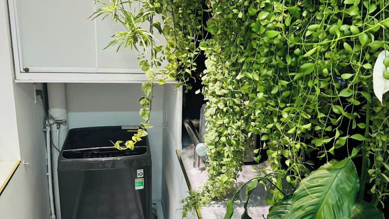 Photo of Outdoor in Phu My Hung