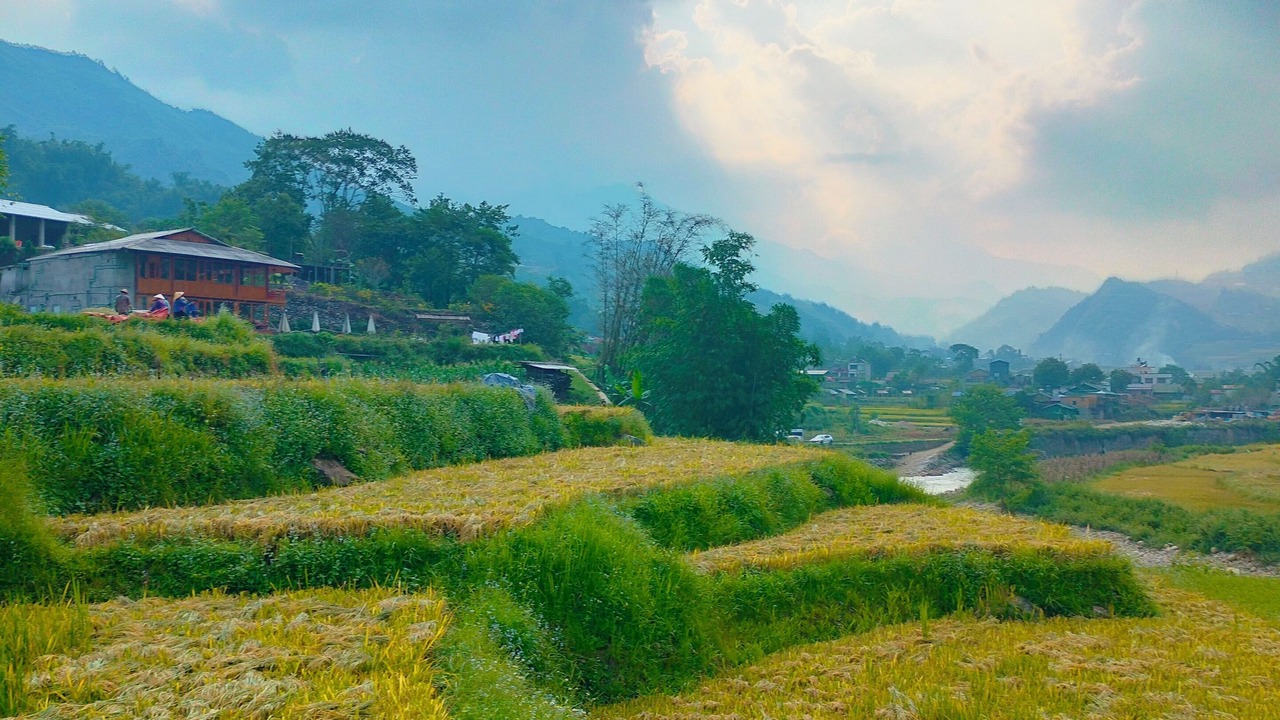 Photo of Others in Sa Pa