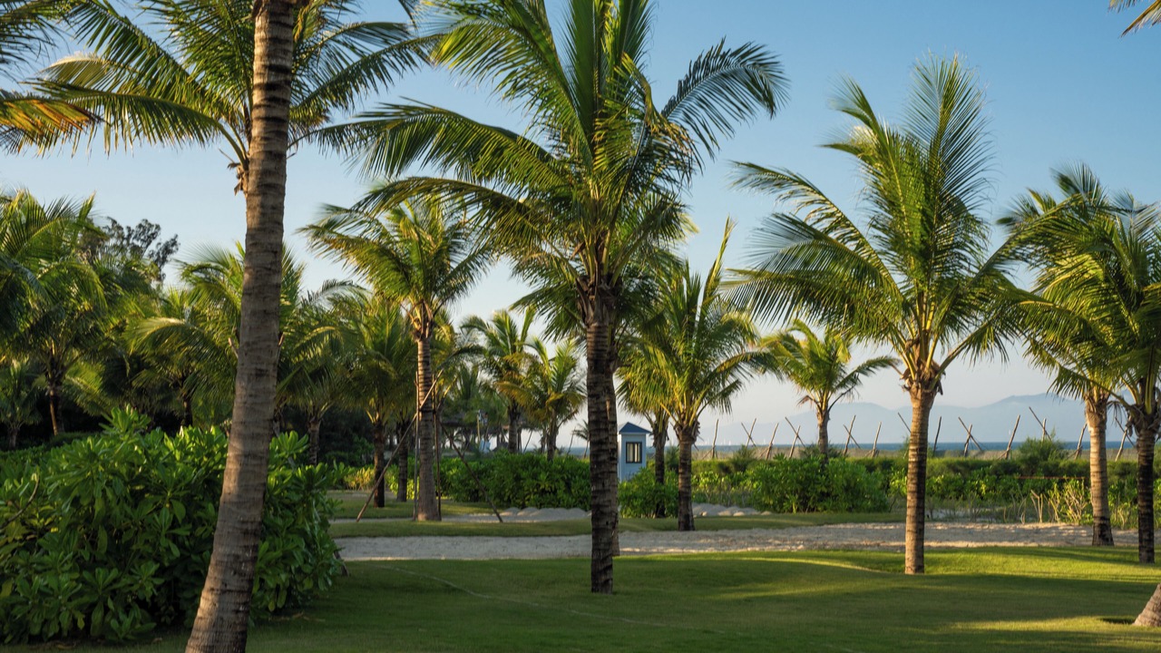 Photo of Outdoor in Dien Ban