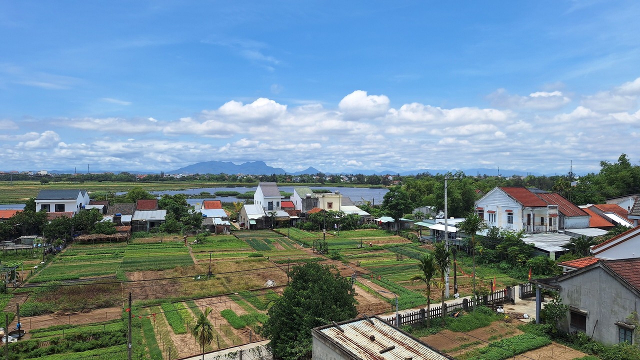 Photo of Outdoor in Tra Que Vegetable Village