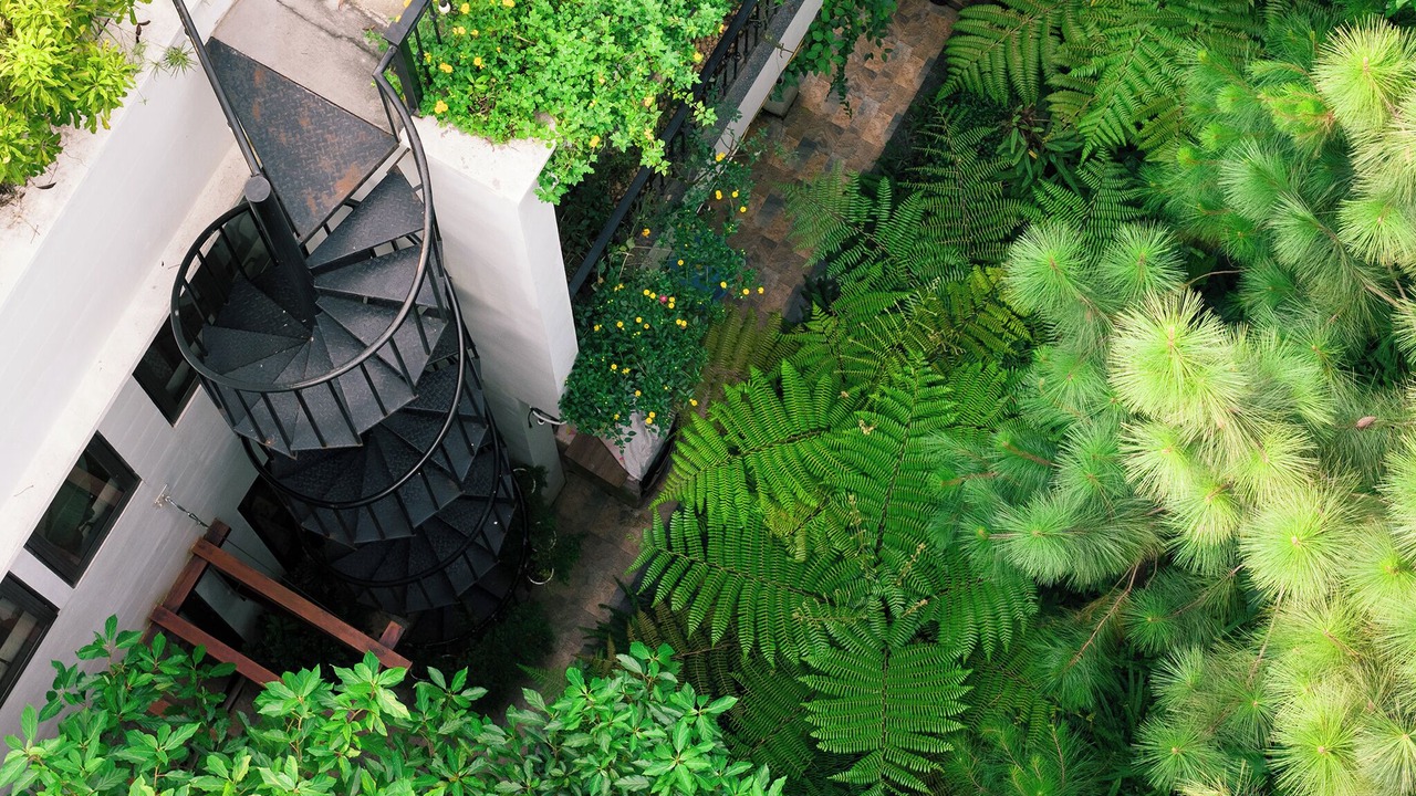 Photo of Outdoor in Ngoc Thanh