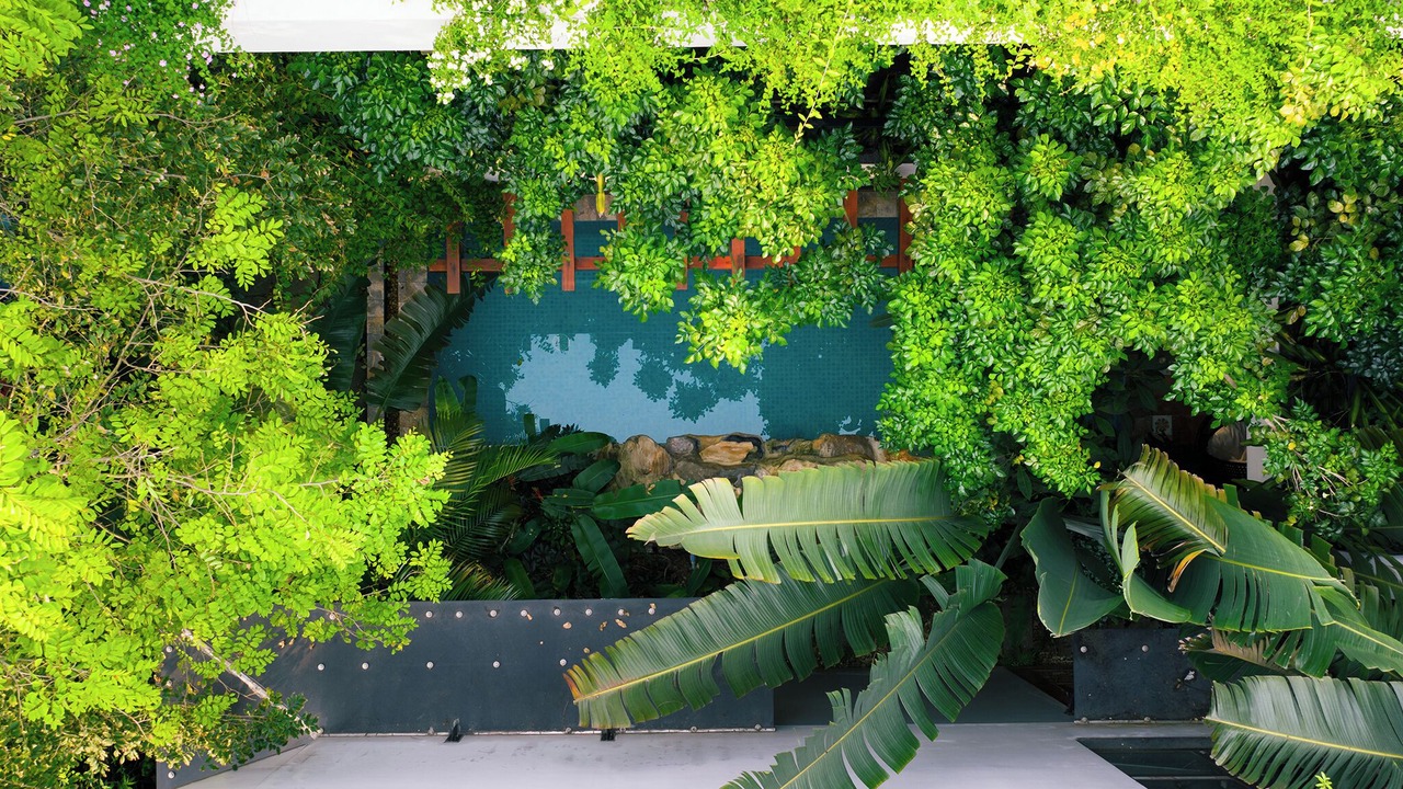 Photo of Outdoor in Ngoc Thanh