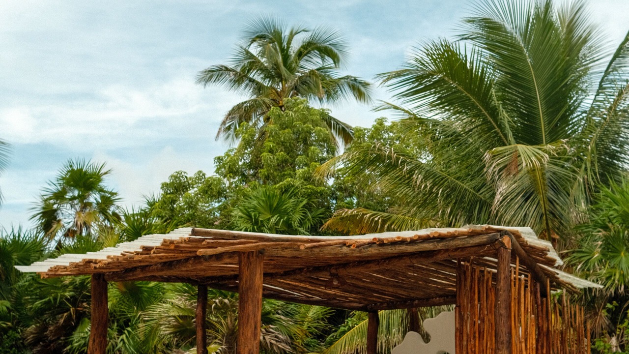 Photo of Outdoor in Majahual