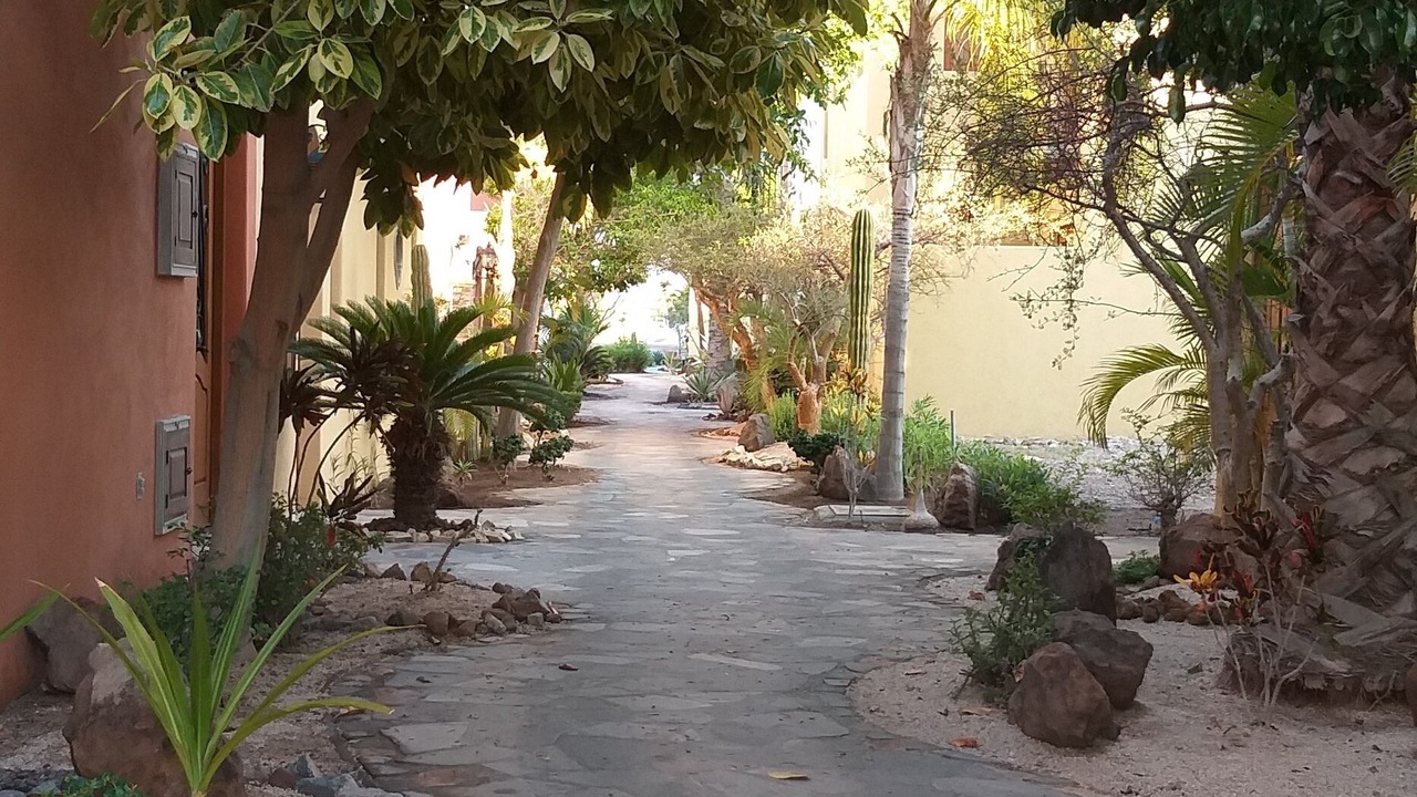 Photo of Outdoor in Nopolo