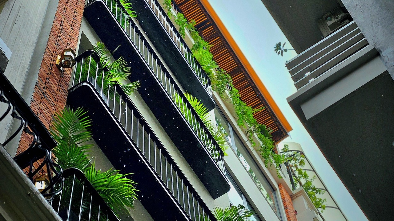Photo of Outdoor in Ba Dinh