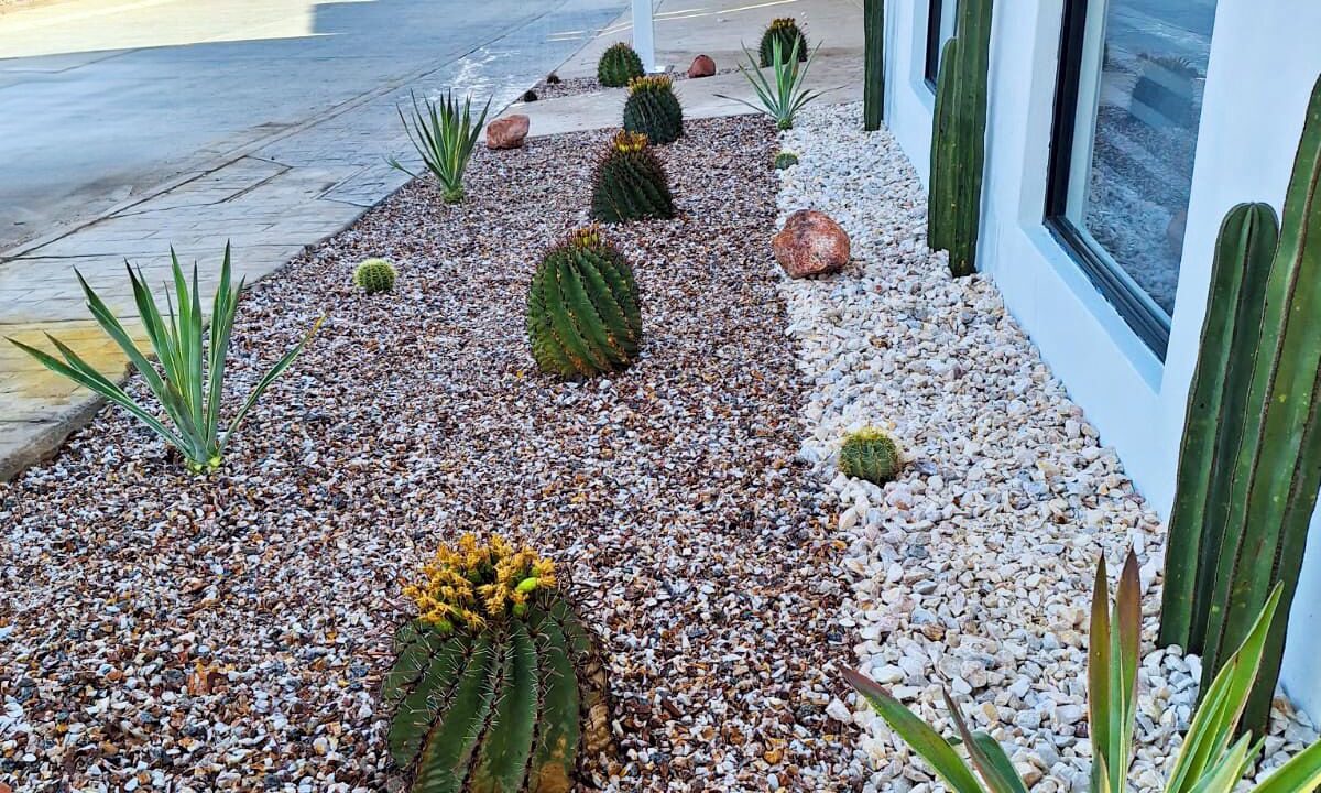 Photo of Outdoor in Marina Real