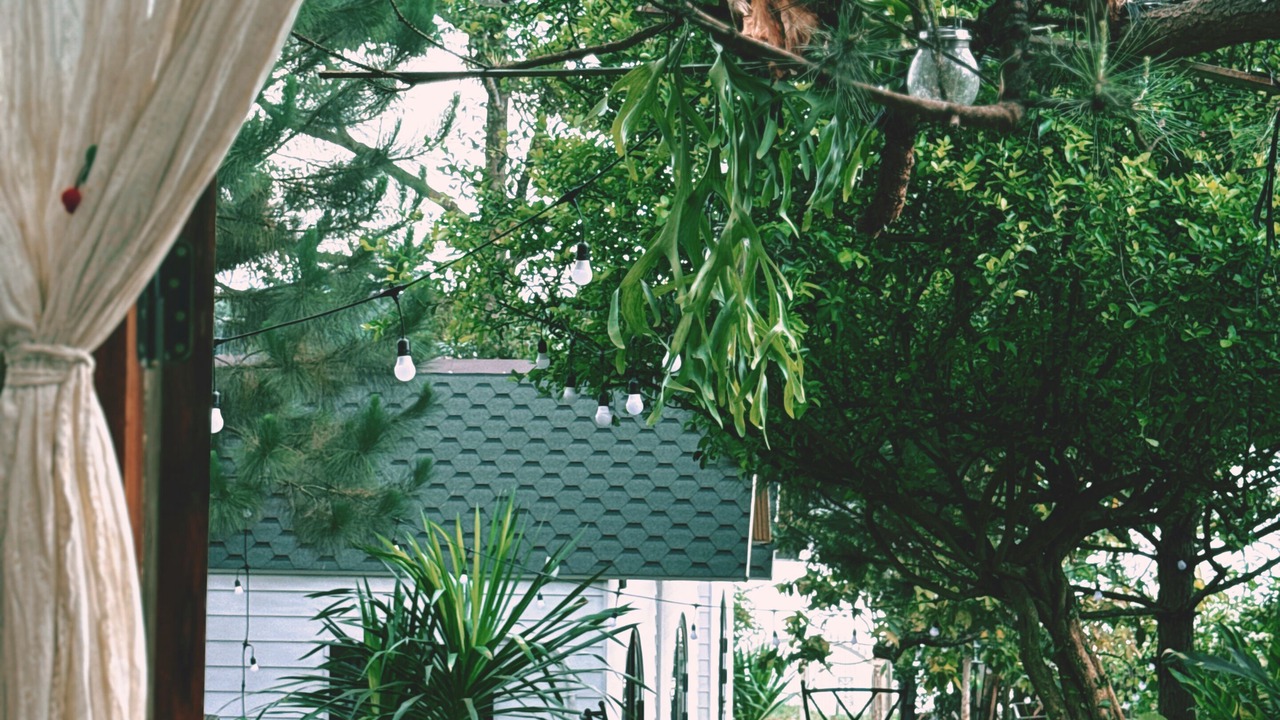 Photo of Patio Balcony in Pleiku