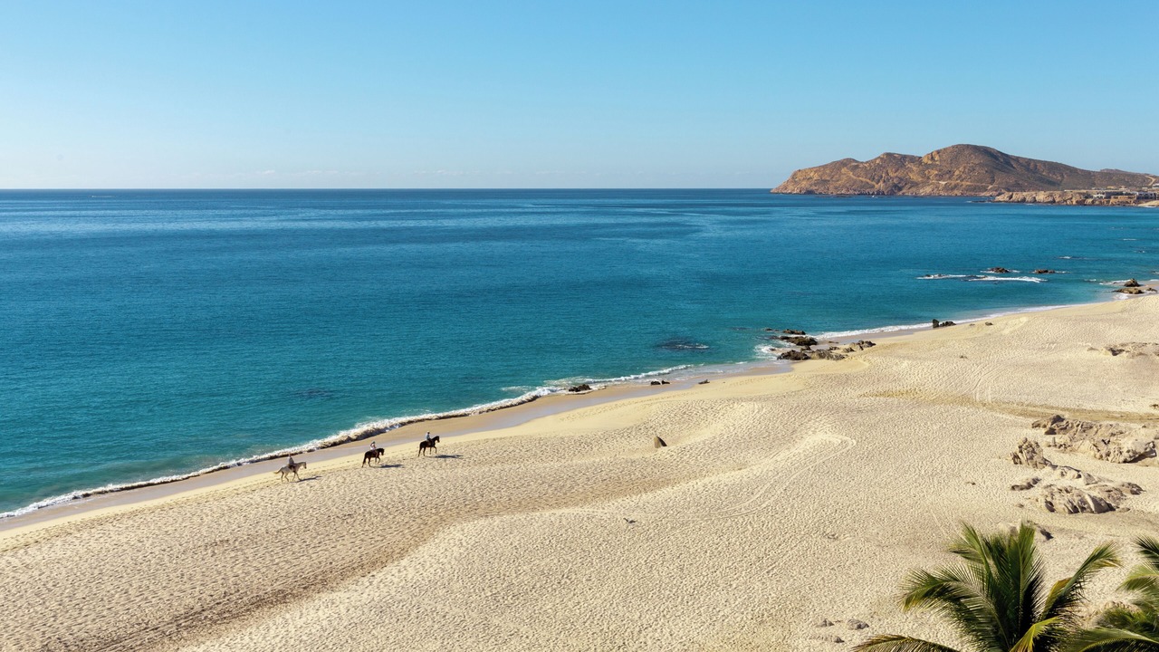 Photo of Others in El Tezal