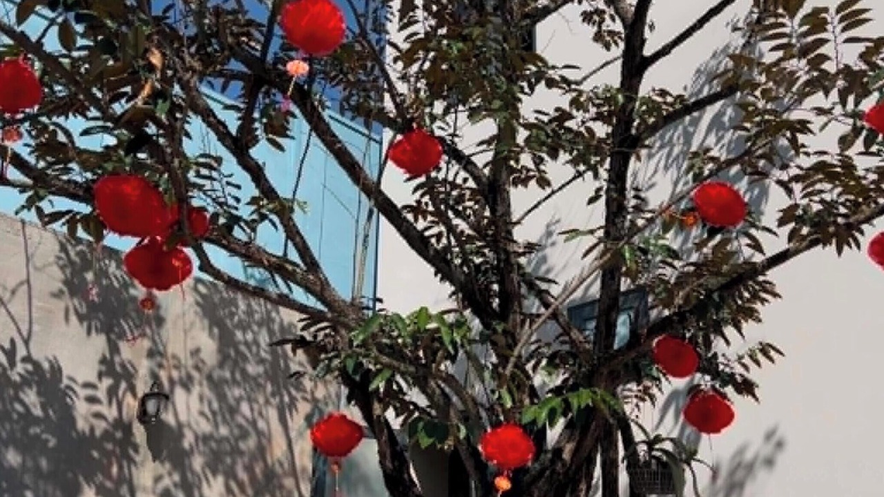 Photo of Outdoor in Long Thanh