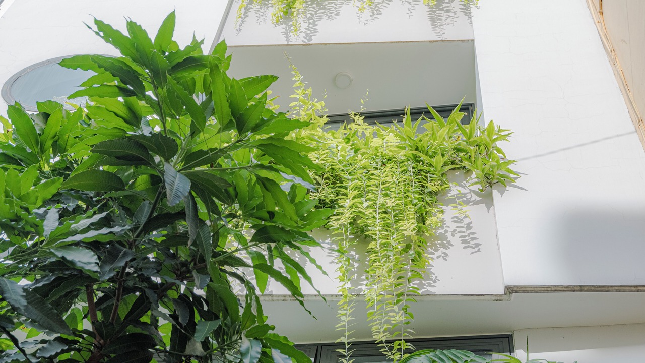 Photo of Outdoor in District 3