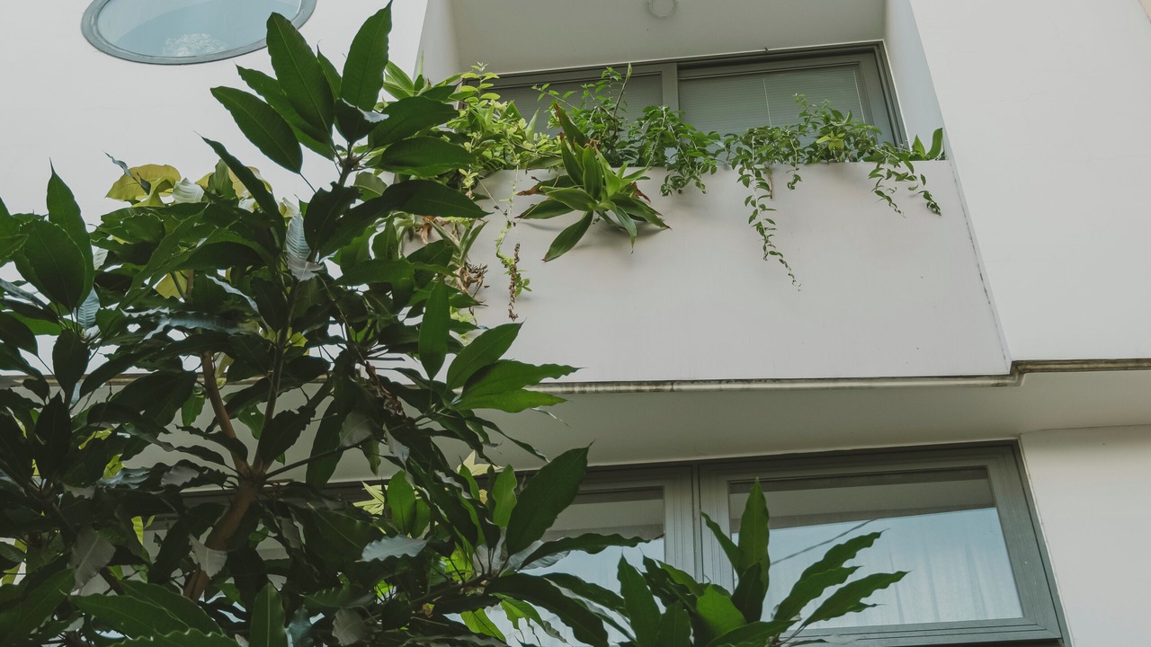 Photo of Outdoor in District 3