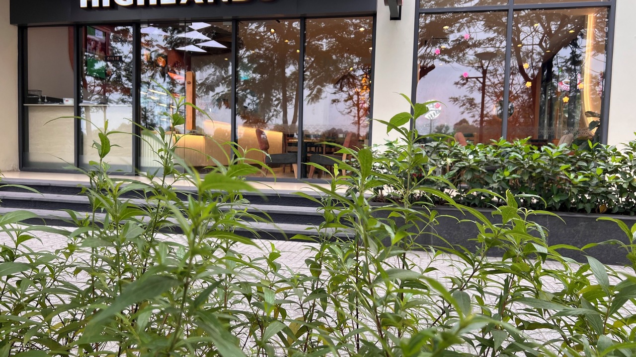 Photo of Outdoor in District 9