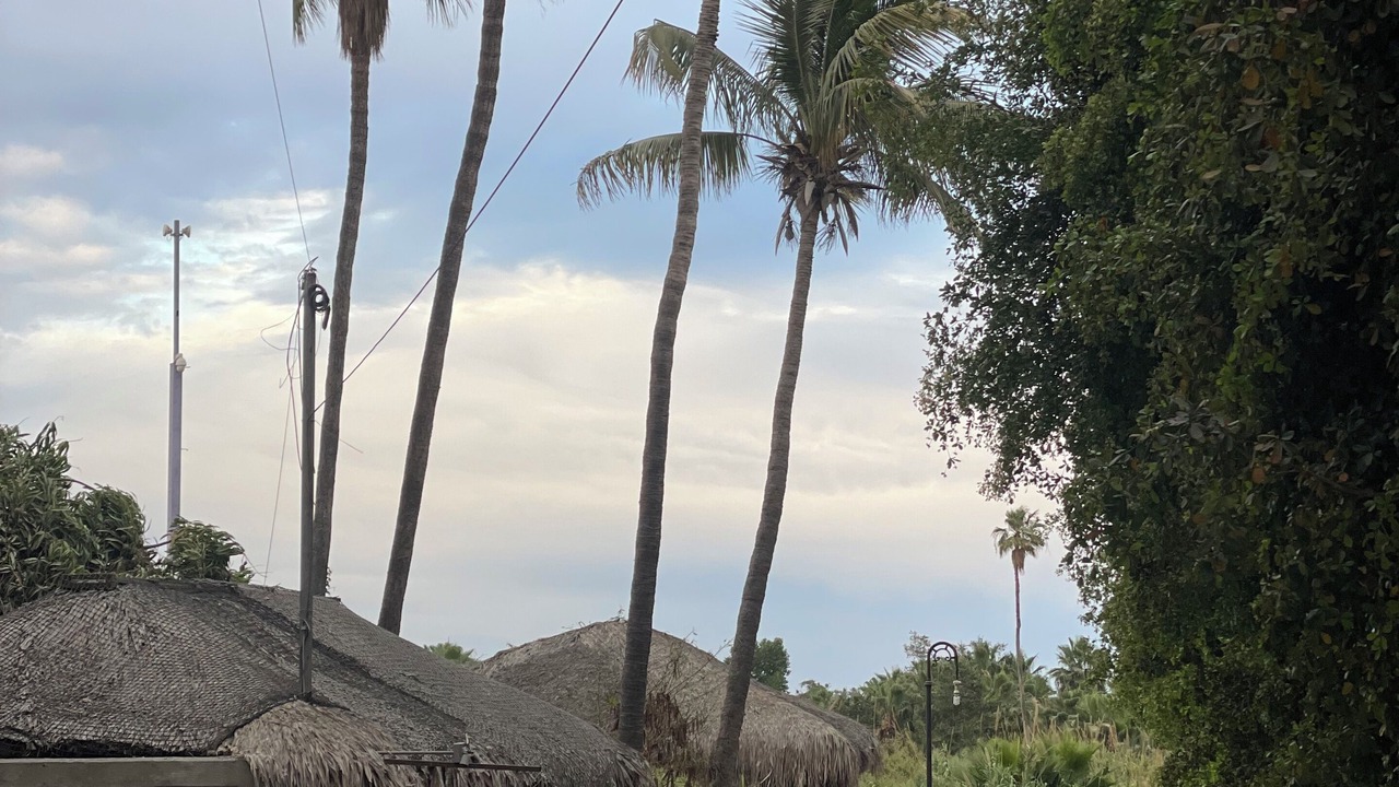 Photo of Others in San Jose del Cabo