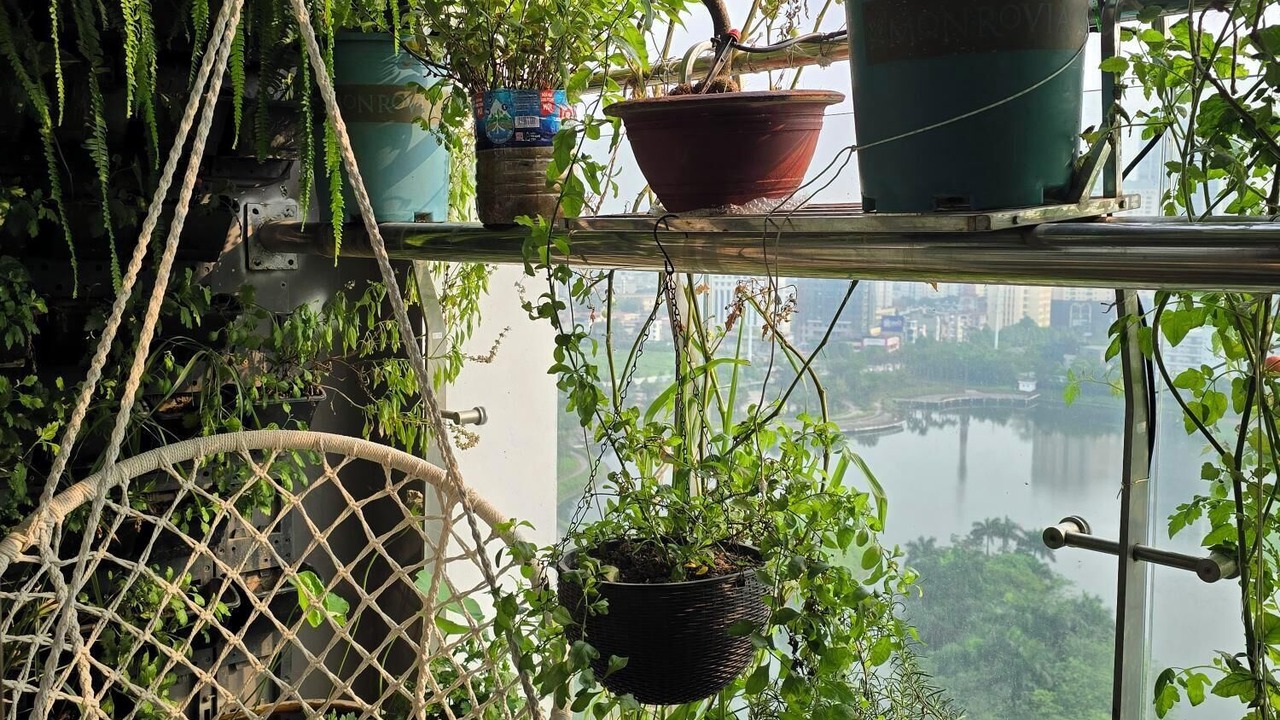 Photo of Outdoor in Tu Liem
