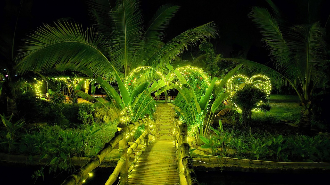 Photo of Outdoor in Ninh Binh