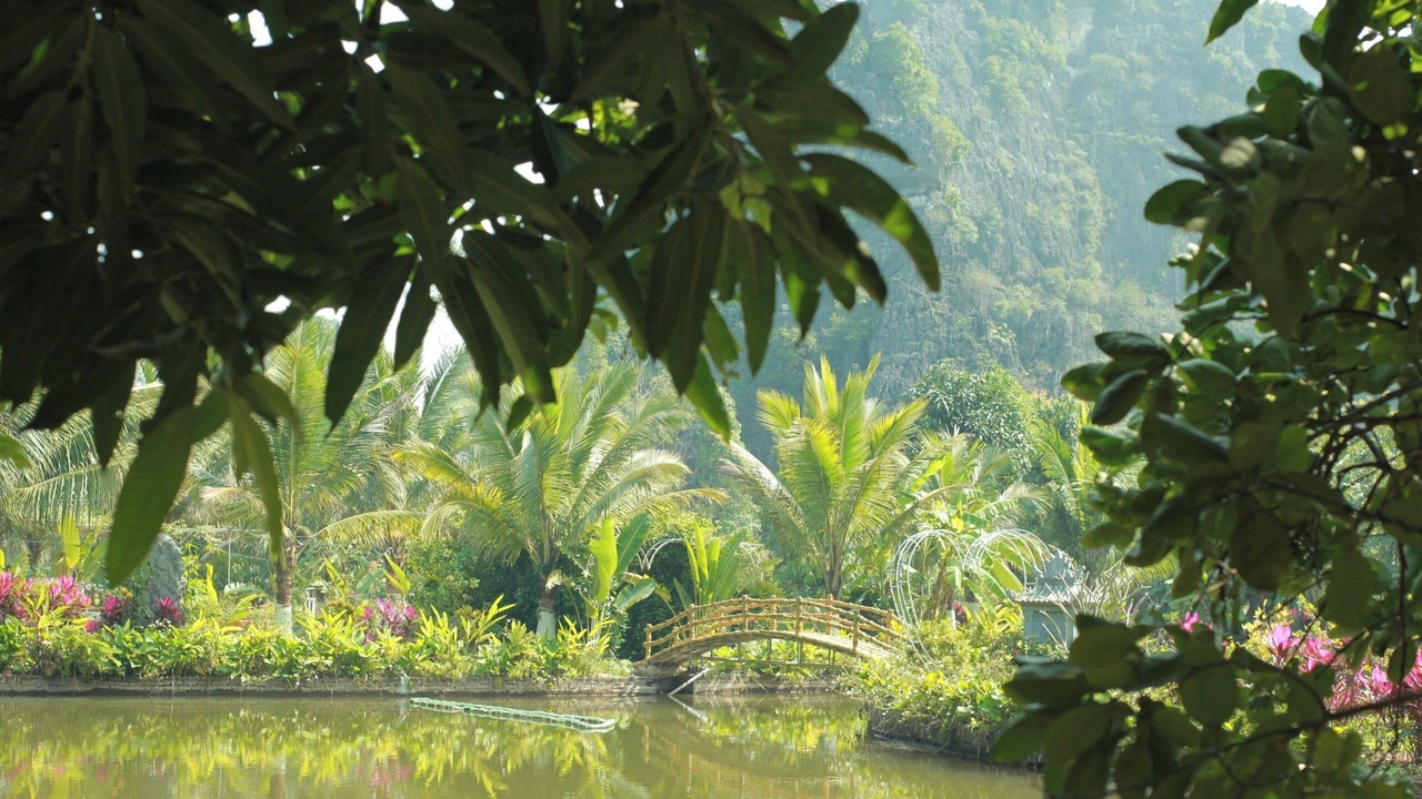 Photo of Outdoor in Ninh Binh