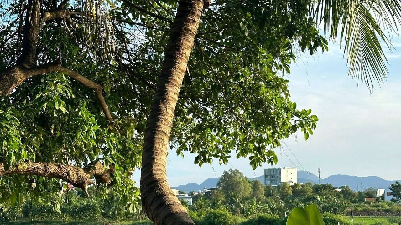 Photo of Outdoor in Nha Trang