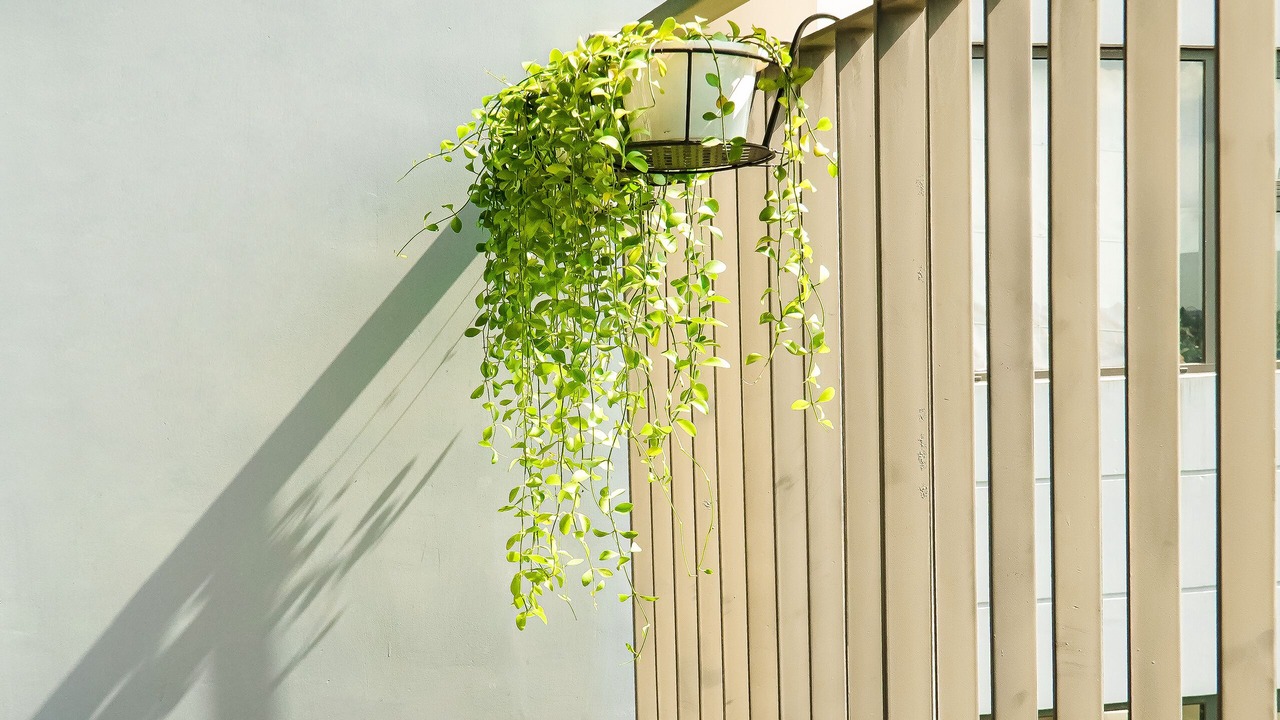 Photo of Patio Balcony in District 9