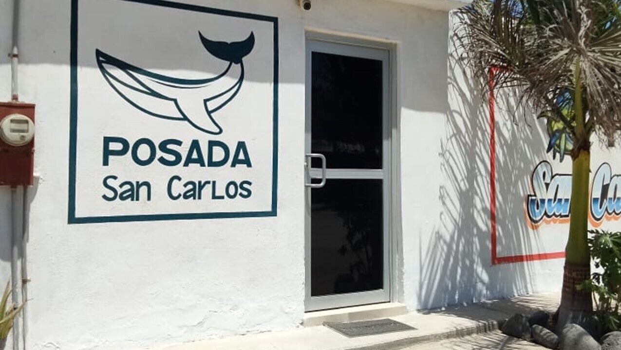 Photo of Outdoor in Puerto San Carlos