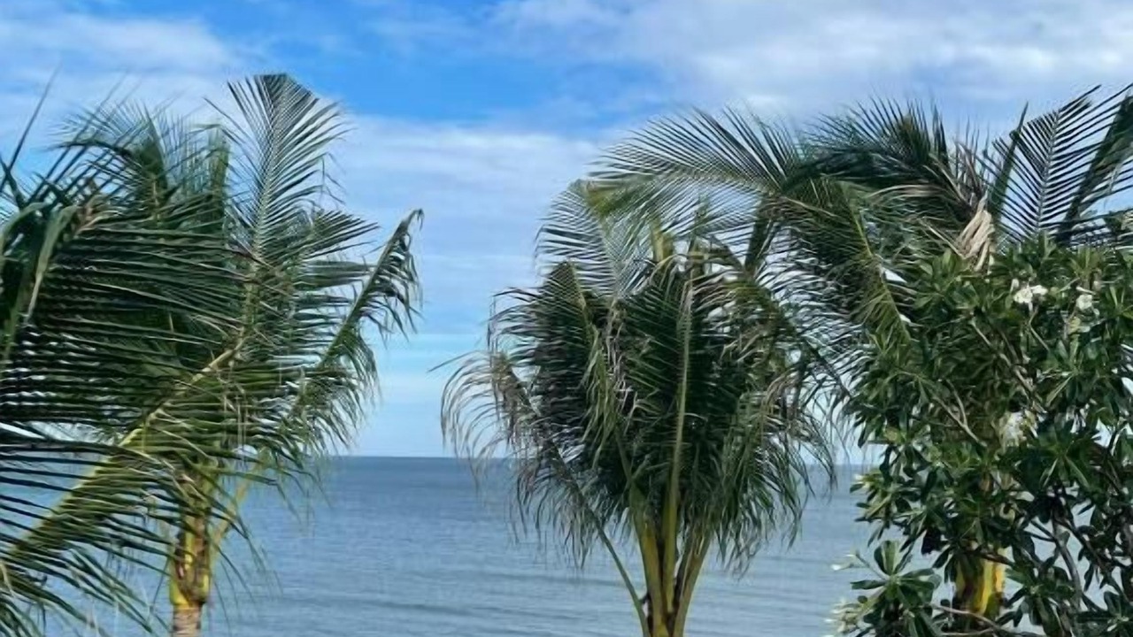 Photo of Others in Suoi Nuoc Beach