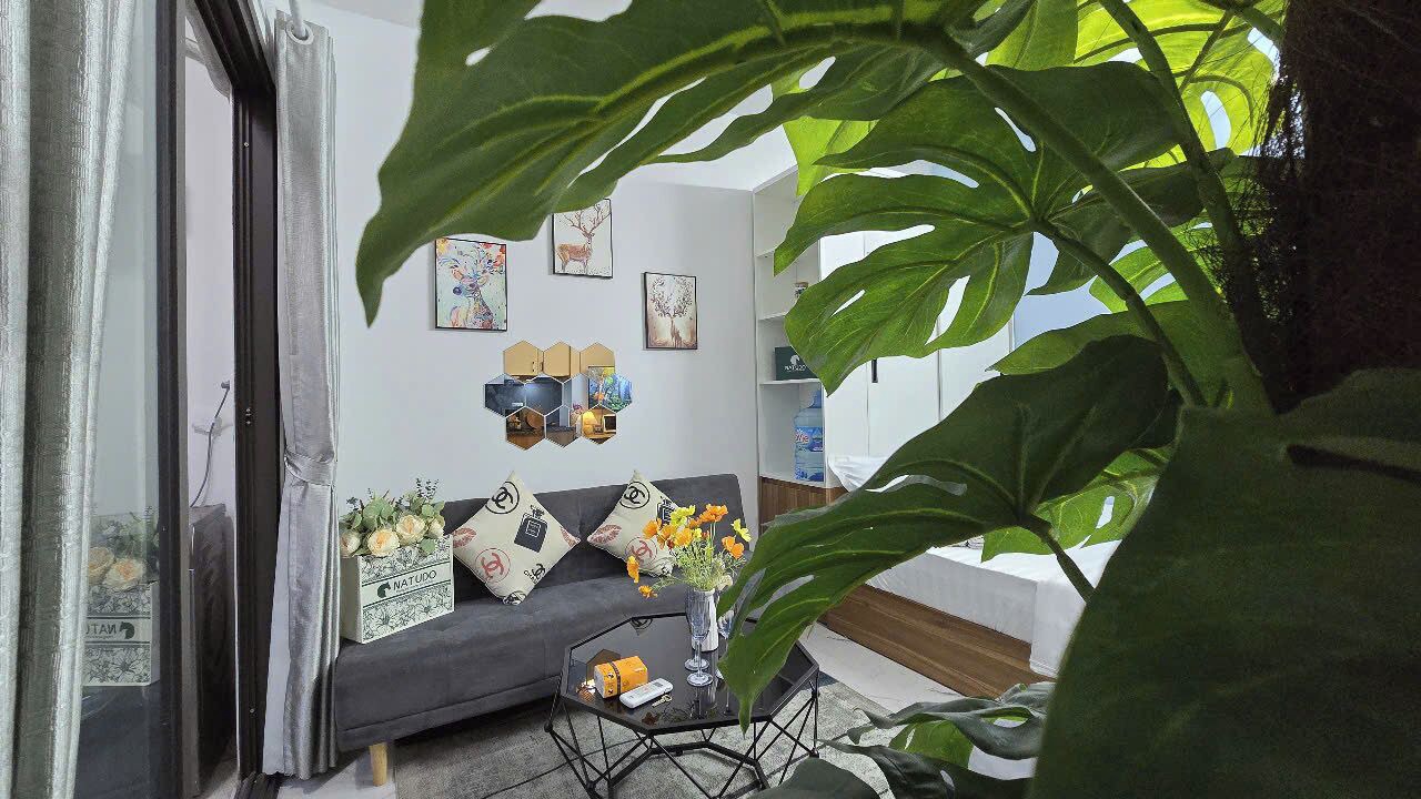 Photo of Livingroom in Cau Giay