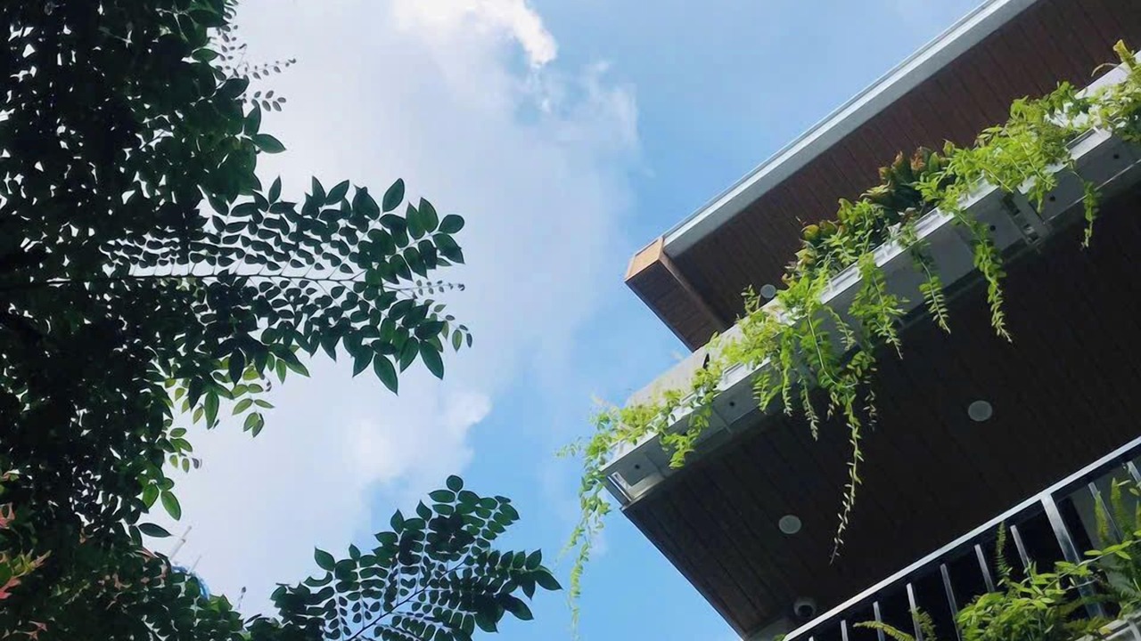 Photo of Outdoor in Le Chan