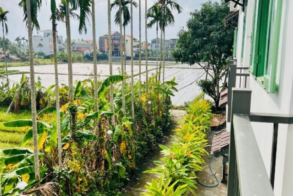 Photo of Outdoor in Cam Chau