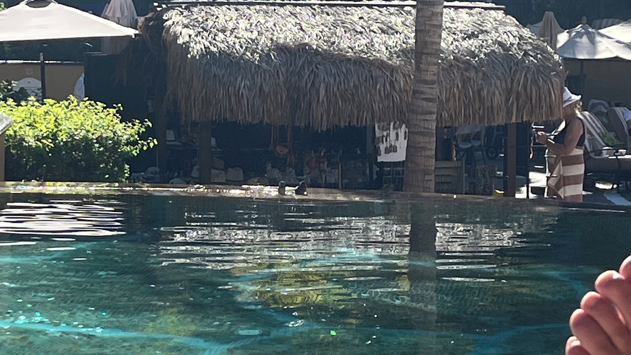 Photo of Outdoor in Nopolo
