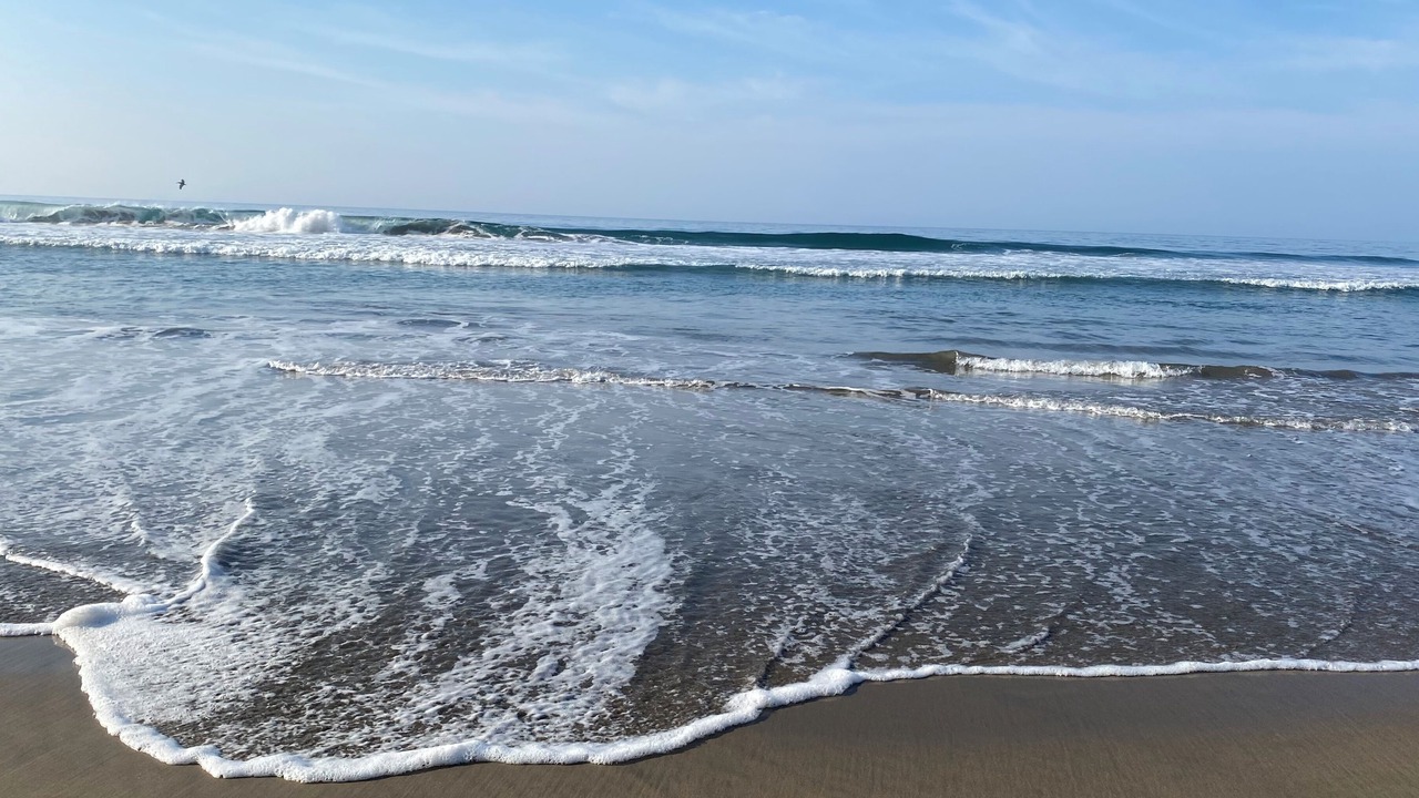Photo of Others in Troncones