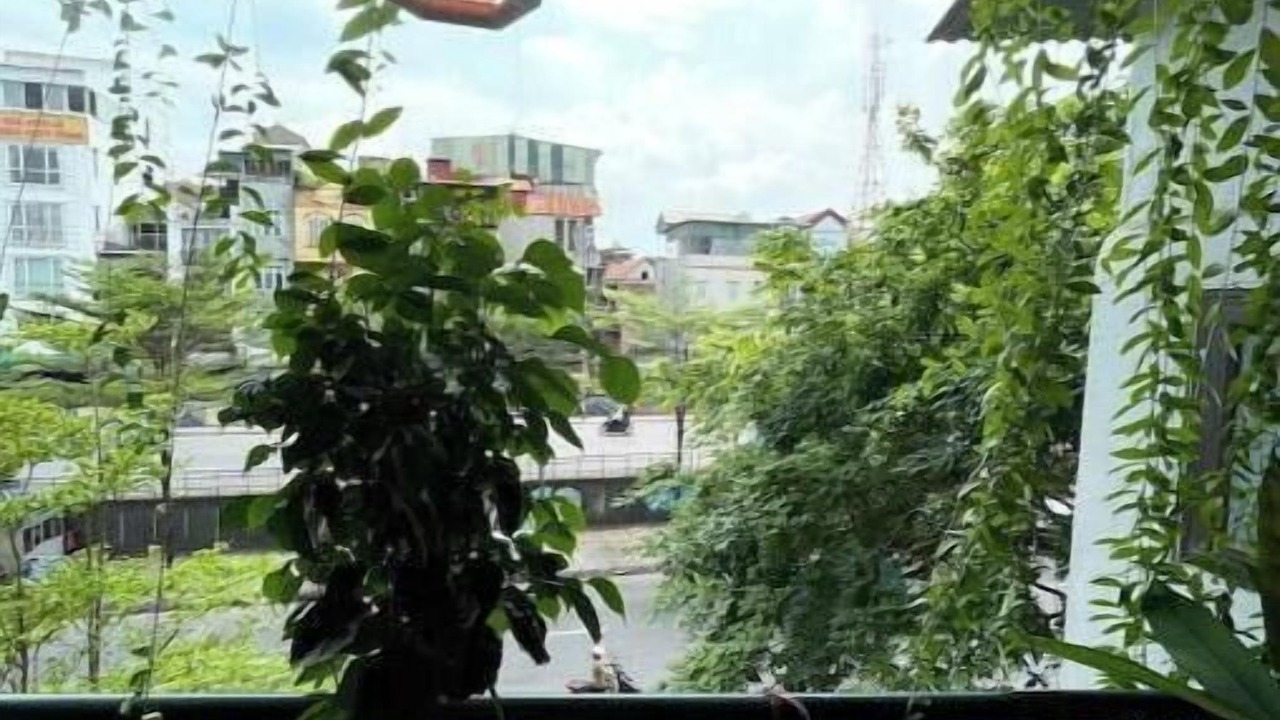 Photo of Outdoor in Old Quarter