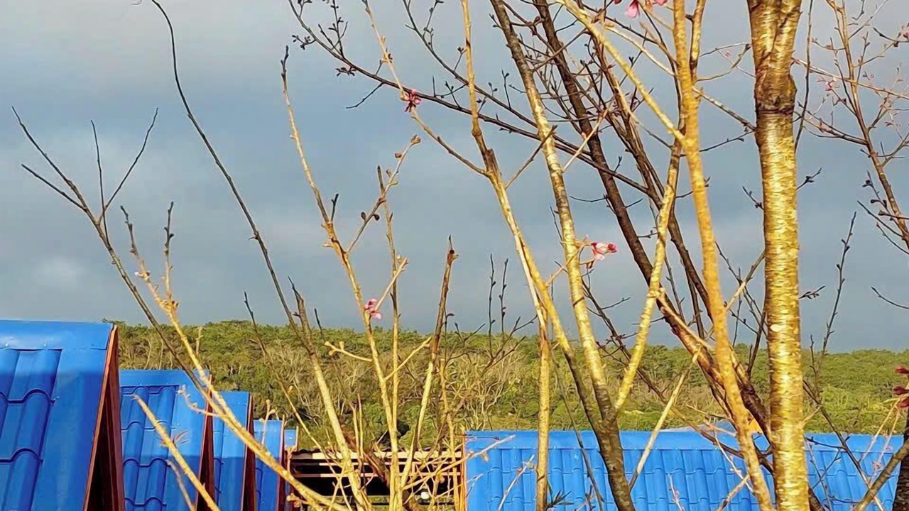 Photo of Outdoor in Kon Plong