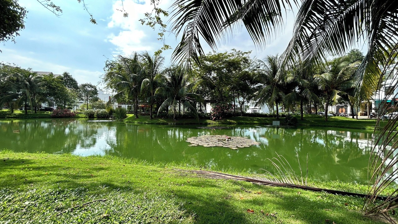 Photo of Outdoor in Cai Rang