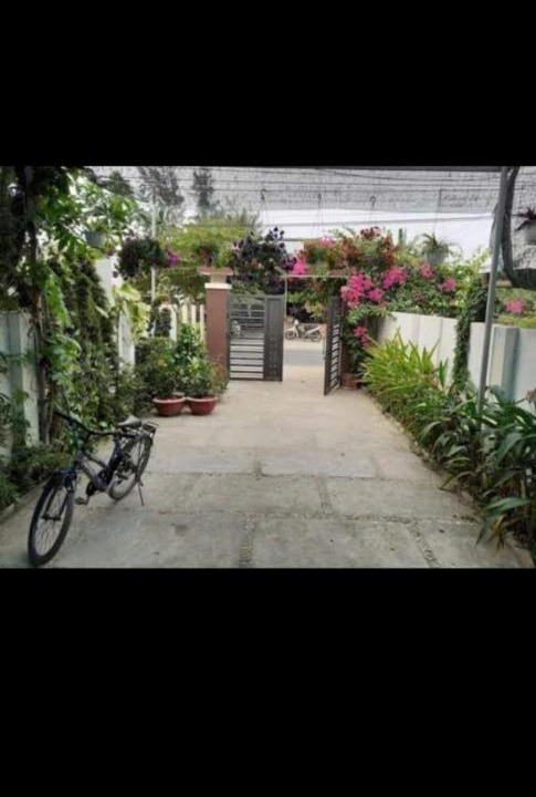 Photo of Others in Cam Thanh
