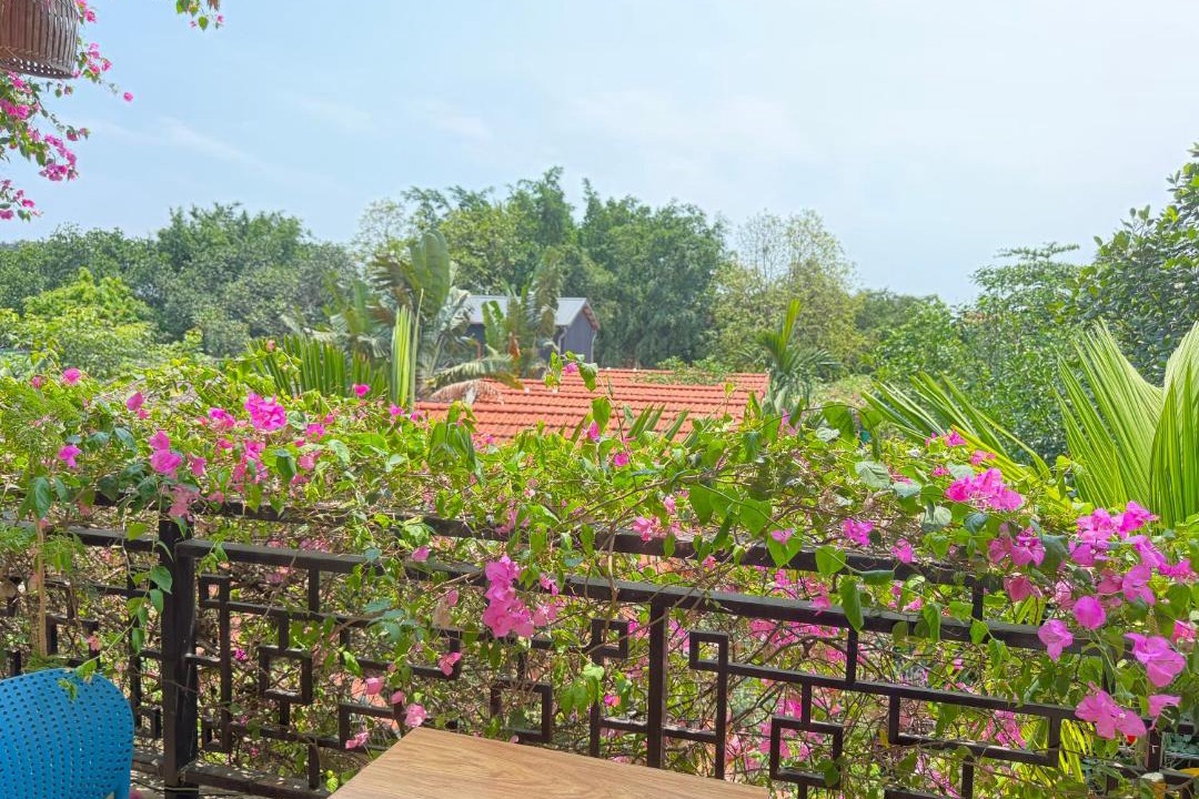 Photo of Others in Hoa Lu