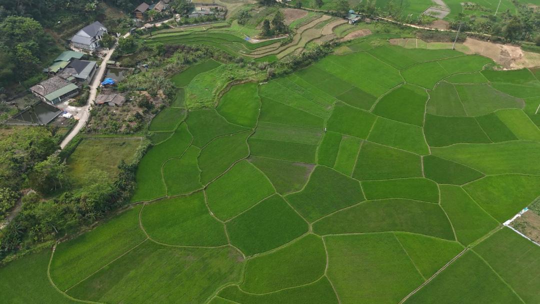 Photo of Others in Ha Giang