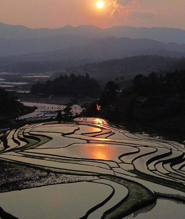 Photo of Others in Muong La