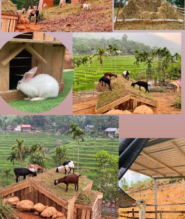 Photo of Others in Pu Long Nature Reserve
