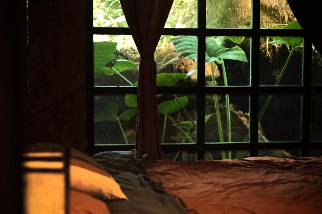 Photo of Bedroom in Sa Pa