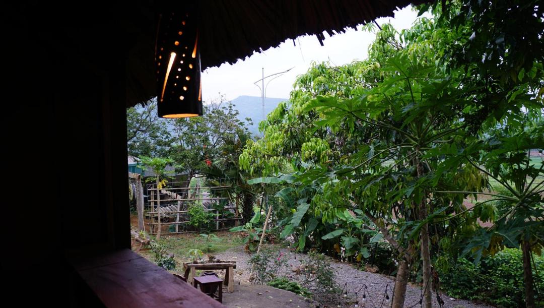 Photo of Others in Cao Phong