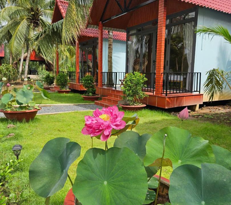 Photo of Others in Mo Cay Nam