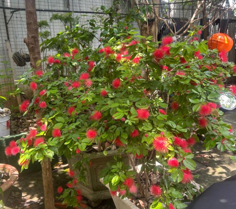 Photo of Others in Phuong 11