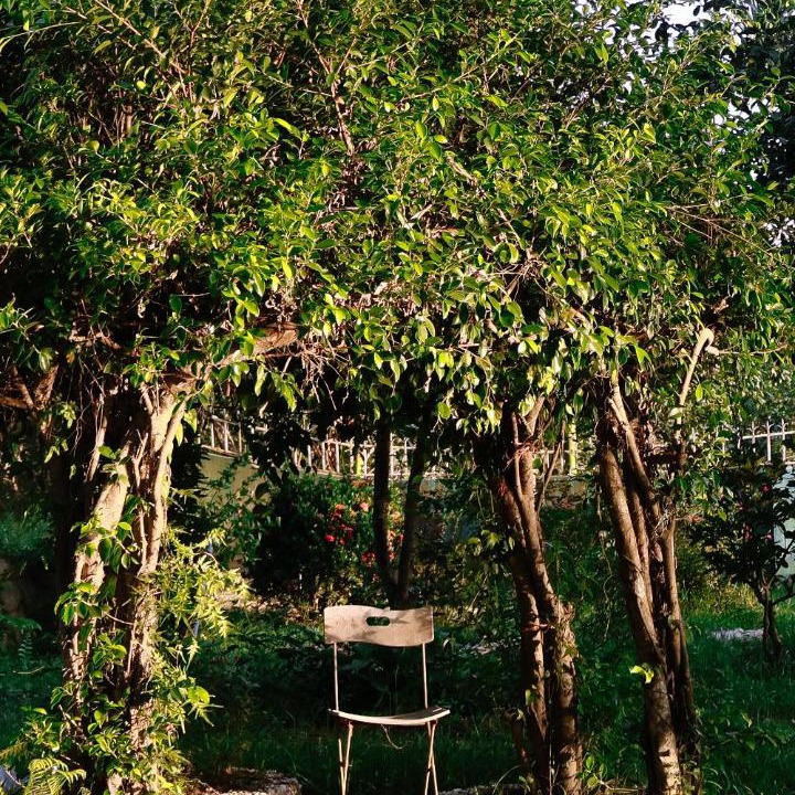 Photo of Others in Huong Thuy