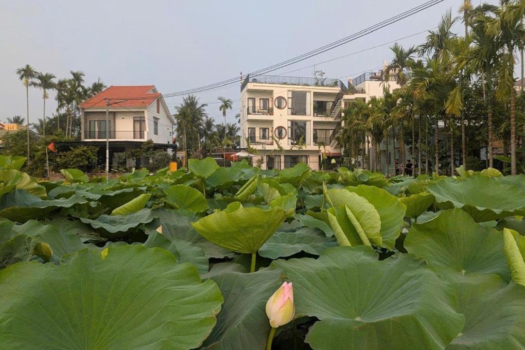 Photo of Others in Cam Thanh