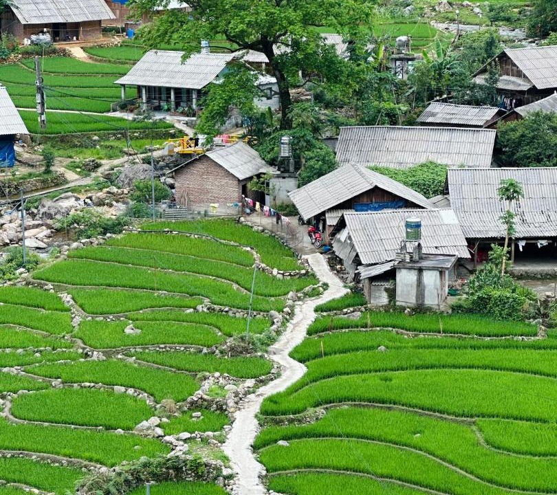 Photo of Others in Sa Pa