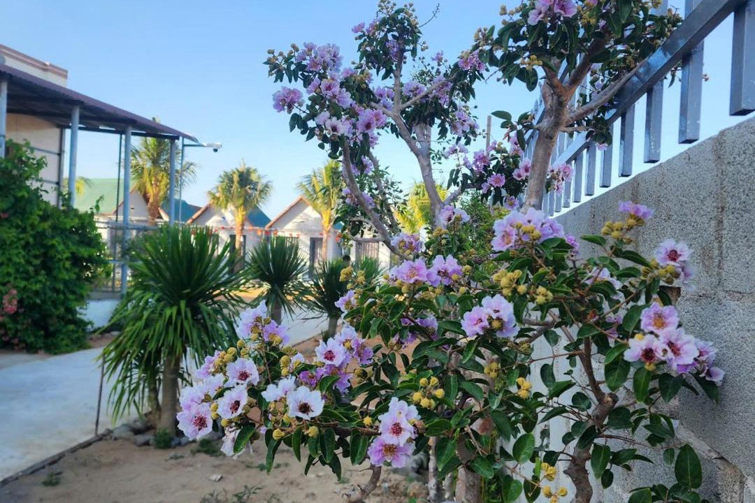 Photo of Others in Phan Rang
