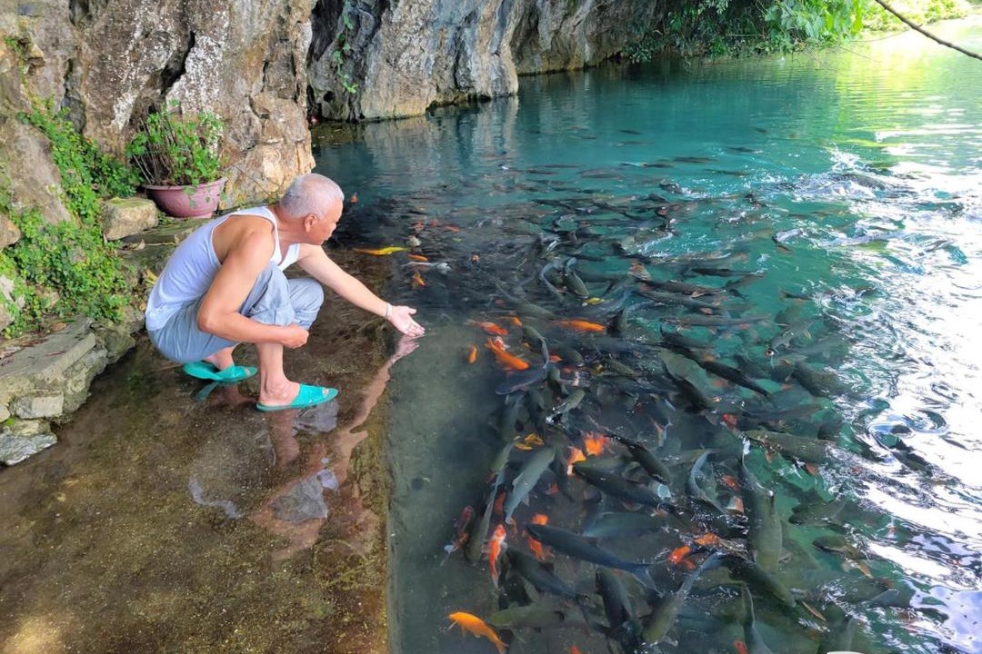Photo of Others in Trieu Son